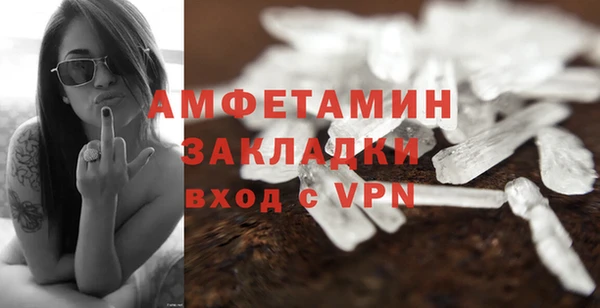 стафф Алзамай