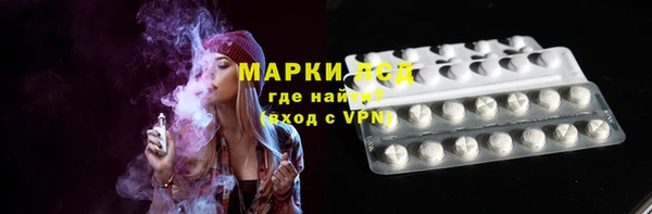 стафф Алзамай