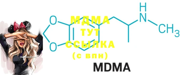 индика Абаза