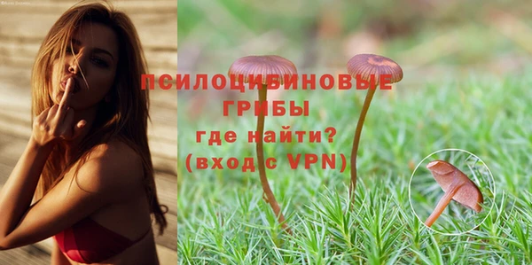 героин Алексин