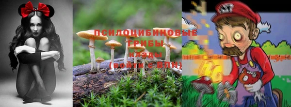 героин Алексин